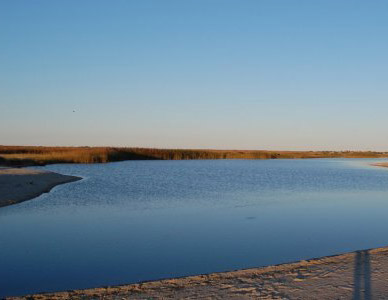 Hummock Pond